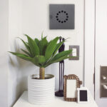 rottner-key-point-10-schluesselschrank-t06141_anwenderbild