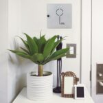 rottner-key-collect-10-schluesselschrank-t06142_anwenderbild1